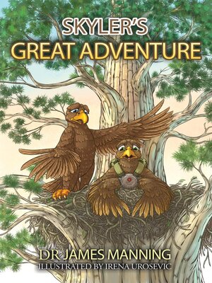 cover image of Skyler's Great Adventure